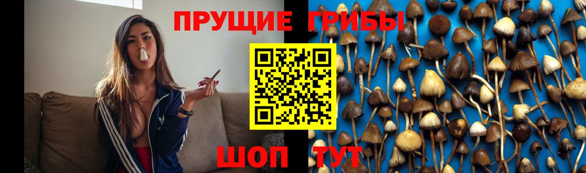 закладки  Вход с VPN  Улан-Удэ  Галлюциногенные грибы мухоморы 